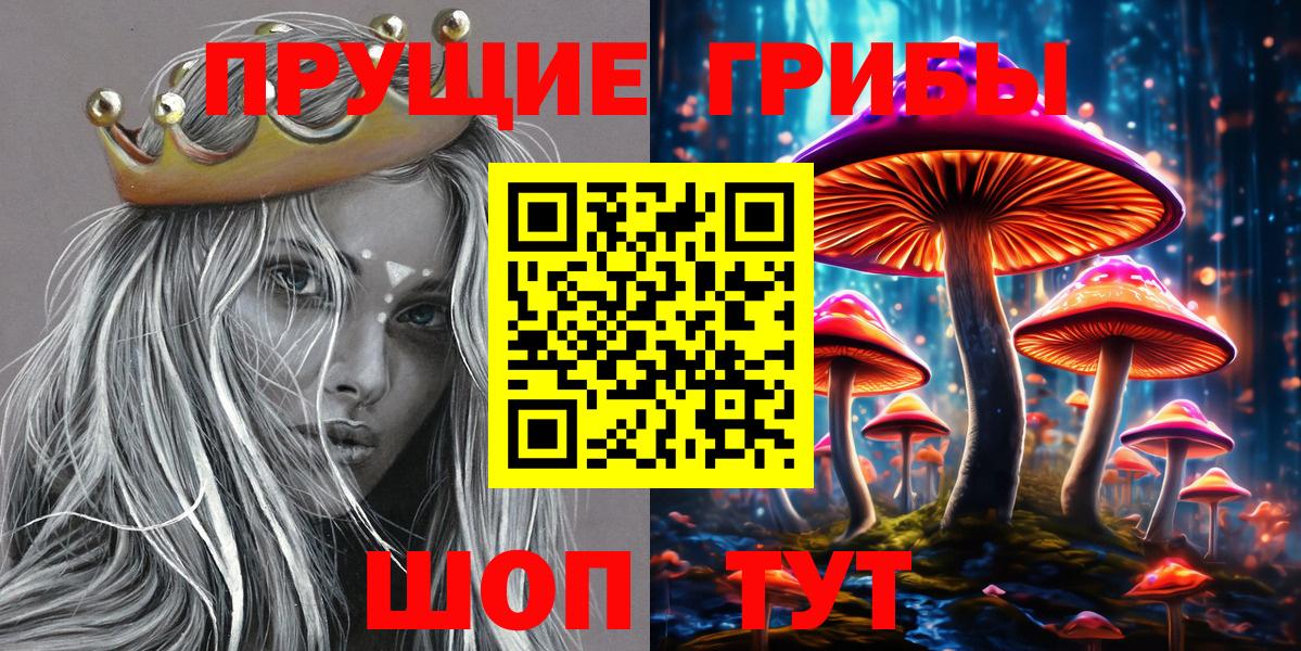 Галлюциногенные грибы Psilocybe Химки