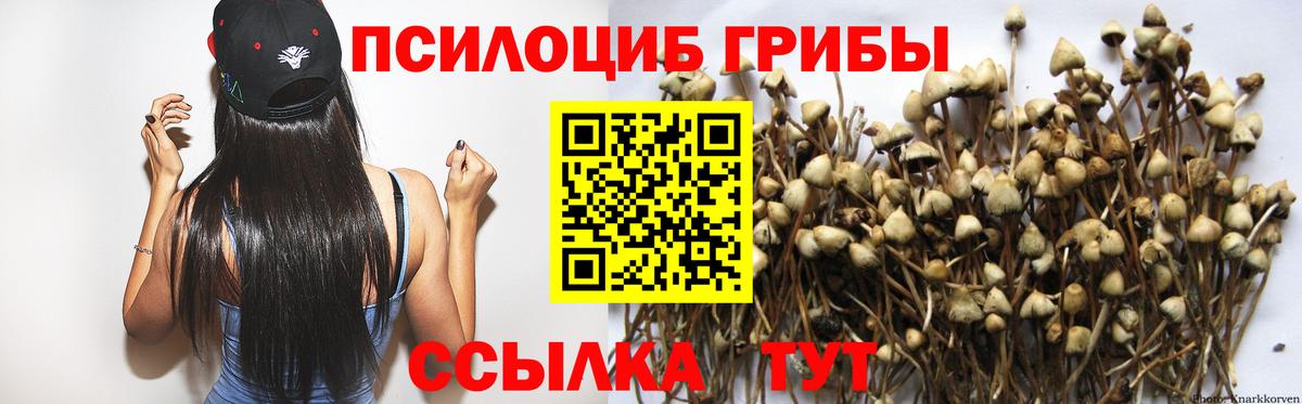 Химки  Псилоцибиновые грибы мицелий  Галлюциногенные грибы Cubensis  Вход с VPN 